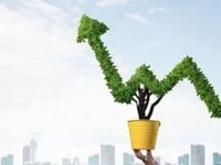 Grizzle Investment Management