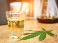 The BAD Investment Company Announces Flagship ETF