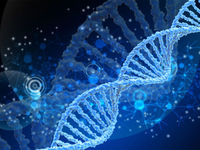 Genomics Might Make Inroads in Prenatal Testing