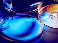 Biotech Went to the Bears in Second Half of 2021