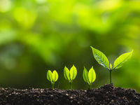 VegTech Invest Launches Plant-Based Innovation ETF