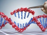 Gene Editing Stocks Might Be Building Some Momentum