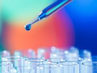 Some Biotech Stocks Are Now Cheap