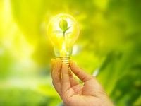 Investors Want Energy Transition, Not Pure-Play Green Companies