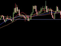 Long-Term Opportunities and Short-Term Challenges