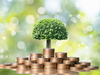 Women More Likely to Invest in ESG Within 401(k)