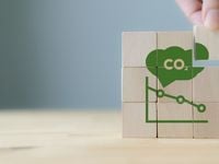 Carbon Market Volatility Due to Uncertainty