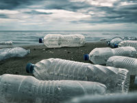 World Leaders Support Plan to End Plastic Pollution
