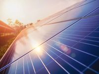 Solar Stocks: Surprising Refuge From Market Chaos