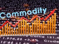 As Commodity Prices Soar, Consider GCC