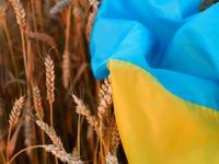Wheat ETF Retreats as Russia-Ukraine War Shows Limited Global Su