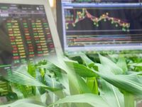 3 Types of Commodity ETFs