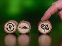 Using Optimization For Reduced-Carbon Portfolios
