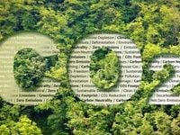 Creativity Needed to User in New Era of Carbon Reduction