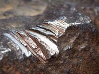 Nickel ETN Reeling with Potentially More Pain Ahead