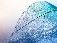 S&P Global Chief Seeks Transparency and Impact for ESG Scores