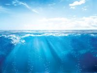Investing in Cleaner Oceans for World Water Day