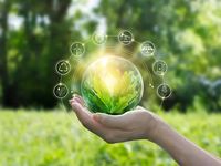 Play Emerging Markets Sustainability Trends