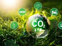 Shopify Provides Funding to 9 Carbon Removal Projects