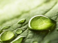 Transparency Matters in ESG Conversation