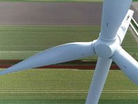 Why You Should Consider Carbon Transition Leaders