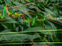 A Look at Markets: Sectors, Styles, and Commodities