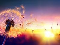 The Winds Are Changing for Active Management