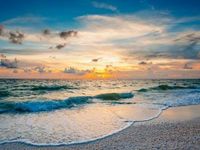 Charts for the Beach – 2019