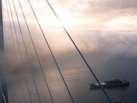 While Market Volatility May Persist, Fundamentals Remain Strong