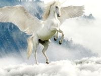 Unicorns Exist Only When Money Is Free