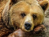 Volatility has returned to the markets after historical levels o