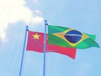 Richard Bernstein Advisors China vs. Brazil