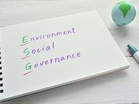 A Sustainable Trend Taking Stock of ESG Performance and Flows