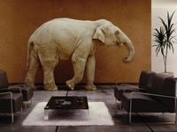 Concentrated Positions: The Elephant in the Room