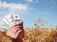 What to Watch for This Earnings Season