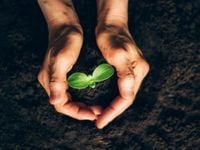 PFM Perfect for Dividend Growth, Inflation Protection