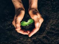 PFM Ideal for Dividend Growth, Inflation Protection