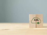 Everything Advisors Should Know About Carbon Markets
