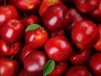 A Good ETF for Apple Shareholder Rewards