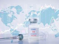 Stocks Rally Amid Vaccine Hopes and Election Conclusion