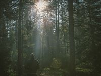 These are Times When Great Investors Shine