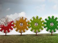 Building Economic Momentum – Navigating The Widening Recovery