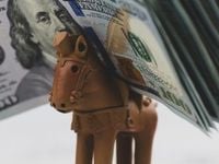 You Can Lead a Horse to Water, But You Can’t Make it Lend