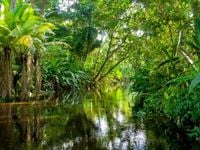 ETFs in the Amazon Jungle