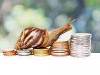 How to Invest in Slowed Growth as Rates Rise