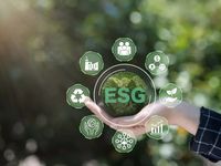 Get Exposure to the Growth of ESG and Emerging Markets