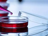 Pfizer Biohaven Acquisition Sparks Biotech M&A Hope
