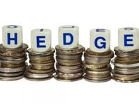 A Guide to Currency Hedging and Why It Matters Again