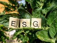 Does Your ESG Portfolio Identify Risks to Financials?