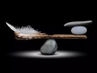 EFIV Refreshed After ESG Index Rebalance